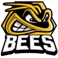 Bracknell Bees Logo